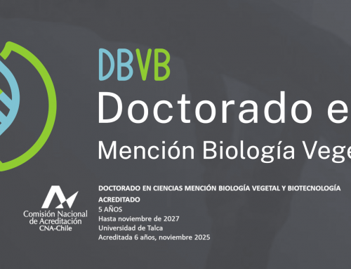 Doctorado en Ciencias mención Biología Vegetal y Biotecnología (DBVB) es acreditado por 5 años