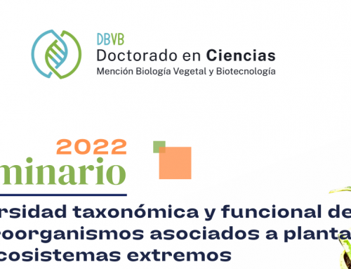 Invitación a Seminario DBVB 24 Noviembre