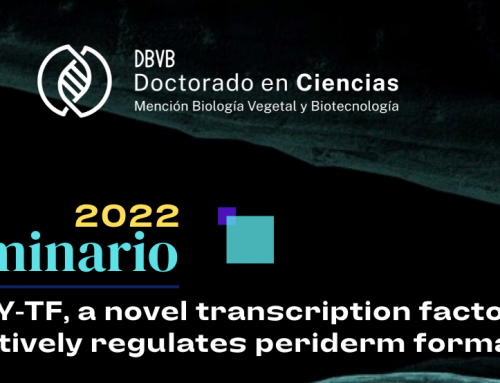 Invitación a Seminario DBVB 15 Diciembre