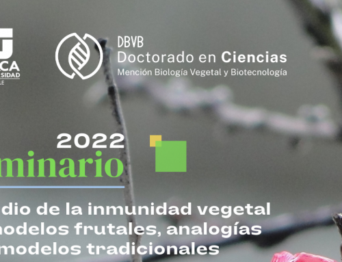 Invitación a Seminario DBVB 22 Diciembre