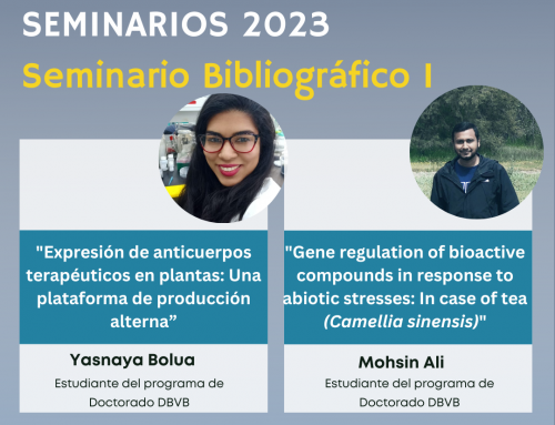 Invitación a Seminario DBVB_09 de noviembre de 2023