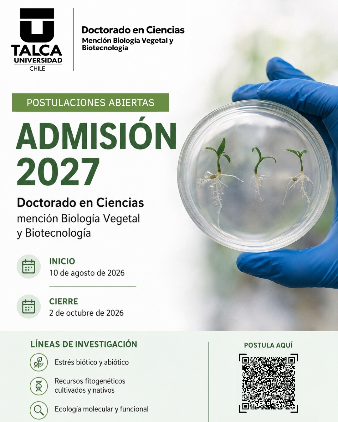 Proceso de Admisión 2027 – Doctorado en Ciencias, mención Biología Vegetal y Biotecnología